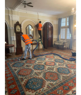 White Rose Carpet Cleaning Service